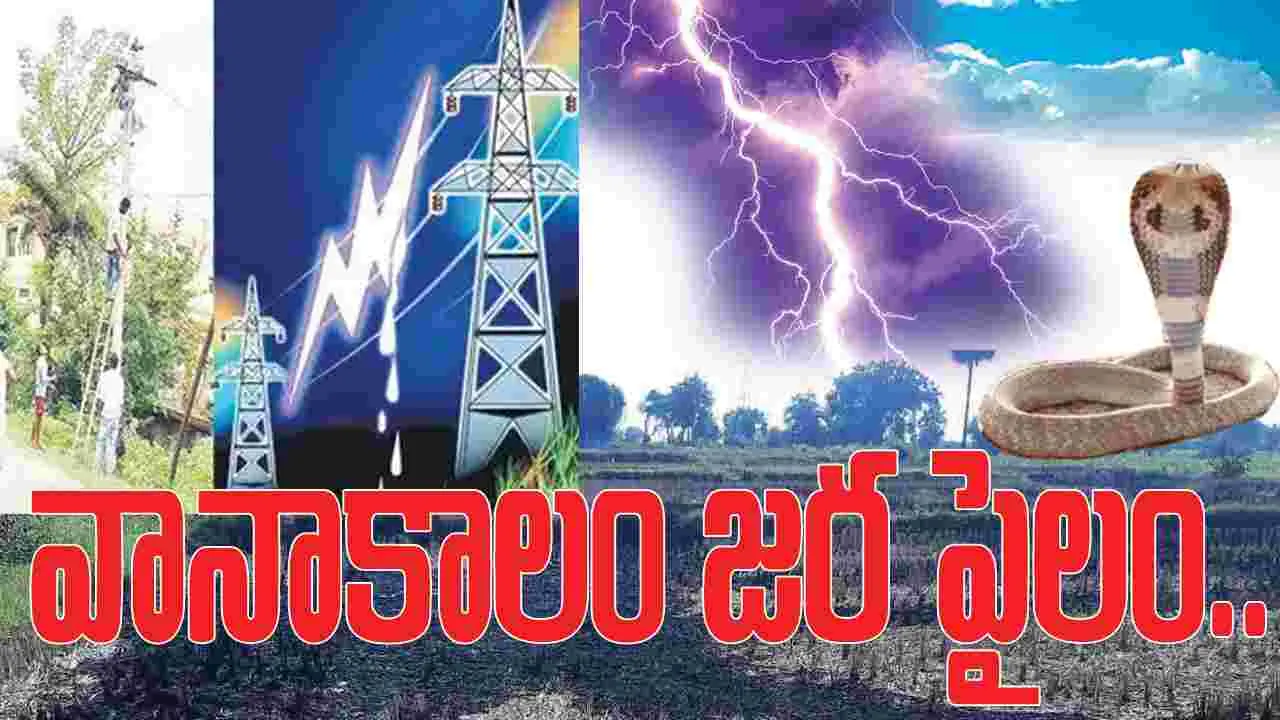 kumaram bheem asifabad- వానాకాలం.. జర పైలం