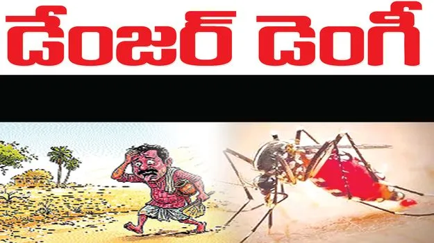 kumaram bheem asifabad- డేంజర్‌ డెంగీ