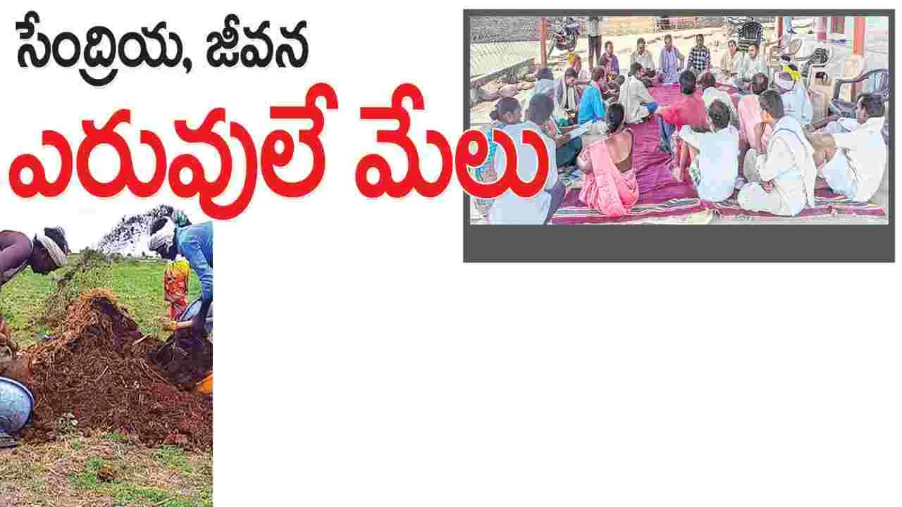kumaram bheem asifabad- సేంద్రియ, జీవన ఎరువులే మేలు