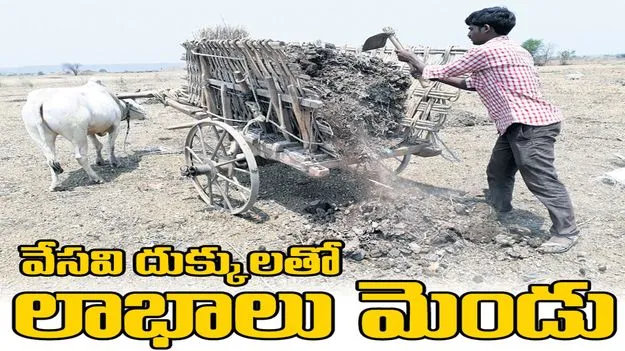 వేసవి దుక్కులతో లాభాలు మెండు