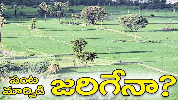 పంట మార్పిడి జరిగేనా?