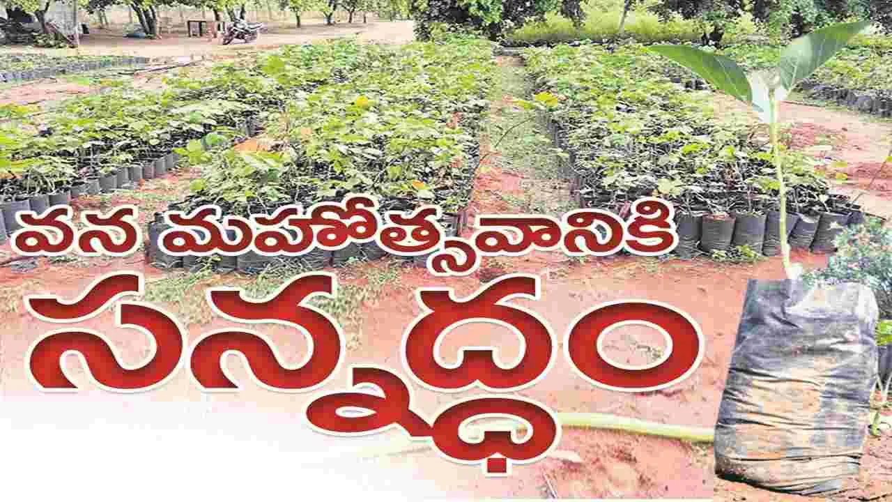 kumaram bheem asifabad-వనమహోత్సవానికి సన్నద్ధం