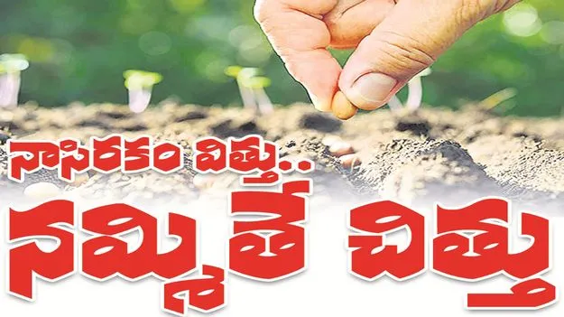 kumaram bheem asifabad- నాసిరకం విత్తు.. నమ్మితే చిత్తు..