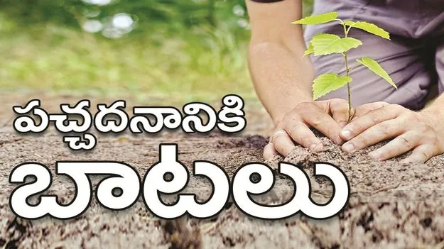 kumaram bheem asifabad- పచ్చదనానికి బాటలు