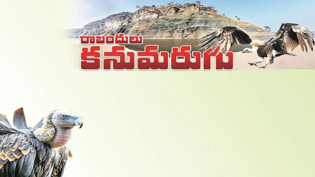 kumaram bheem asifabad- రాబందులు కనుమరుగు