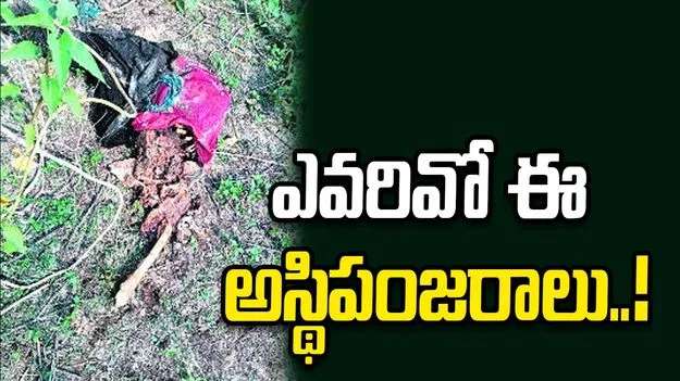 ఎవరివో ఈ అస్థిపంజరాలు..!