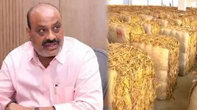 తక్కువ నాణ్యత పొగాకుకూ గిట్టుబాటు ధర.. టొబాకో బోర్డుకు మంత్రి అచ్చెన్న ఆదేశాలు