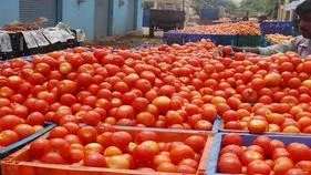 దిగుబడి పెరిగి.. ధర తగ్గి..