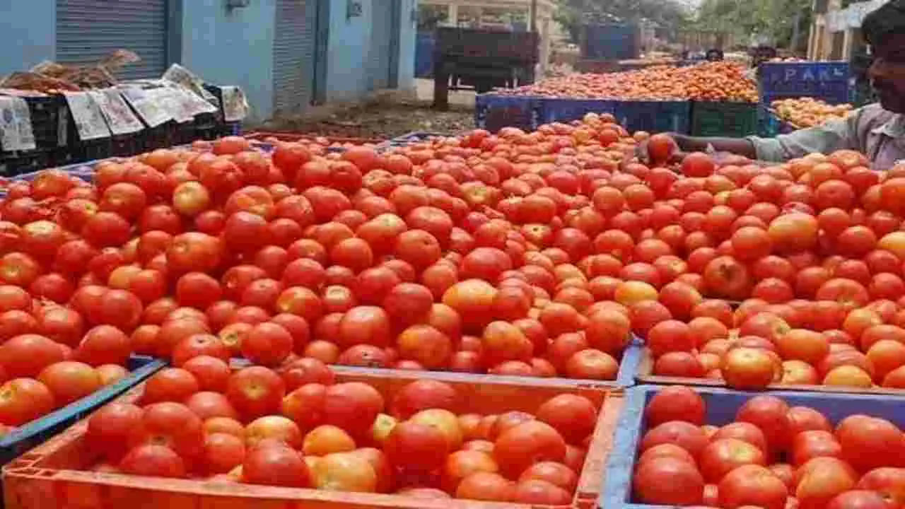 దిగుబడి పెరిగి.. ధర తగ్గి