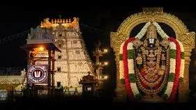 తిరుమల వేంకటేశ్వరస్వామి సర్వదర్శనానికి 14 గంటలు