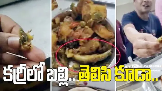 కర్రీలో బల్లి.. ఆ విషయం తెలిసి కూడా తినేశాడు..
