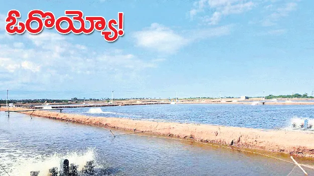 ఓరొయ్యో!