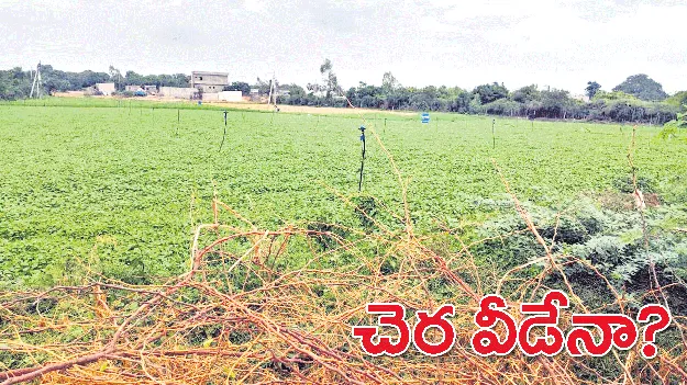 చెర వీడేనా?