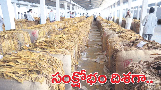 పొగాకు మార్కెట్‌లో అనిశ్చితి