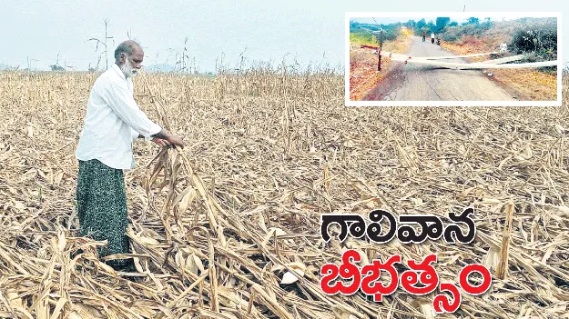 గాలివాన బీభత్సం