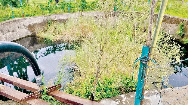 Drink Contaminated Water కలుషిత నీరు తాగేదెలా?   