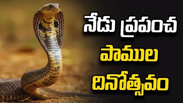 పర్యావరణ సమతుల్యతలో పాముల పాత్ర కీలకం