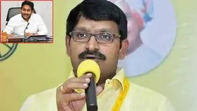 జువ్వలదిన్నె హార్బర్ పనులపై విచారణకు సిద్ధమా.. జగన్‌కు ఎమ్మెల్సీ సవాల్ 