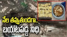 నేలను తవ్వుతుండగా రూ.98 కోట్ల నిధి.. 18 ఏళ్ల కుర్రాడికి షాక్