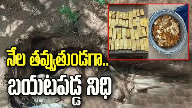 నేలను తవ్వుతుండగా రూ.98 కోట్ల నిధి.. 18 ఏళ్ల కుర్రాడికి షాక్