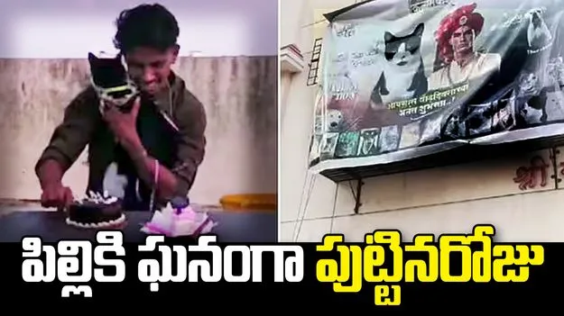 పిల్లిపై ప్రేమతో ఘనంగా పుట్టినరోజు వేడుక.. వీడియో వైరల్