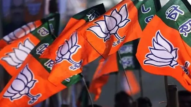 నేడు బీజేపీ కొత్త జట్టు!