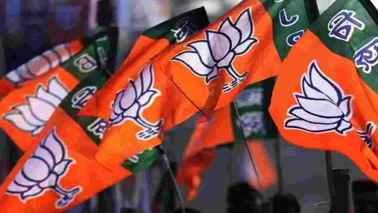 నేడు బీజేపీ కొత్త జట్టు!