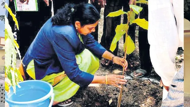 పర్యావరణ చట్టాలను పాటించాలి