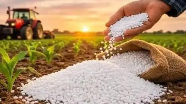 ఎరువు.. బరువు