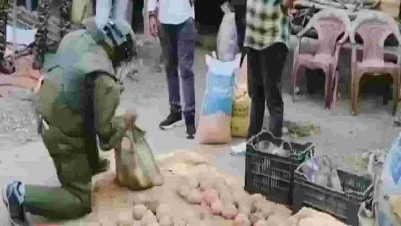 రెండో విడత ఎన్నికల వేళ .. బెంగాల్‌లో 100 నాటుబాంబులు స్వాధీనం