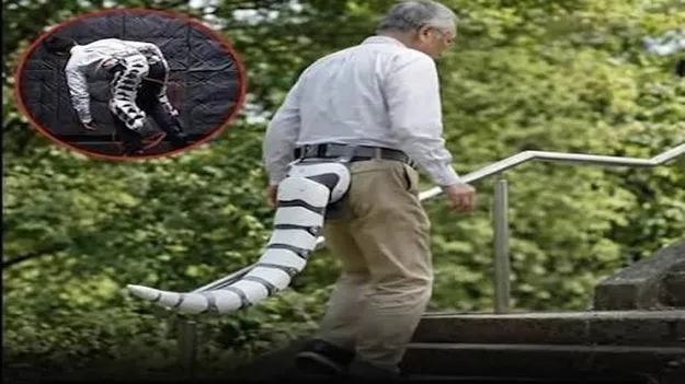 మనిషి తోక...