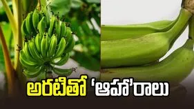అరటితో ‘ఆహా’రాలు