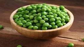 ఆరోగ్య చింతామణి 