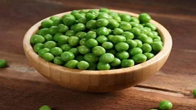 ఆరోగ్య చింతామణి 