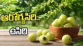 ఆరోగ్యసిరి... ఉసిరి