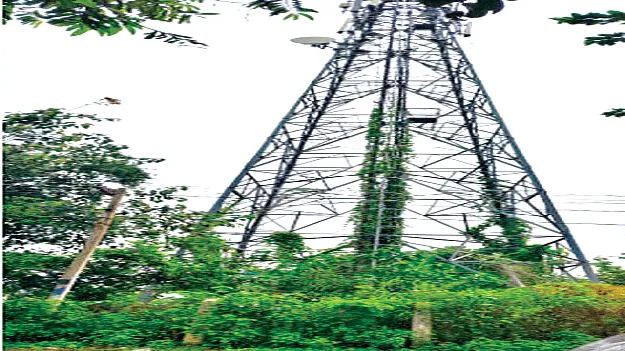 Cell Towers సెల్‌ టవర్లపై అల్లుకున్న నిర్లక్ష్యం