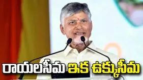 ఏపీని ఉక్కు రాష్ట్రంగా మారుస్తాం: సీఎం చంద్రబాబు