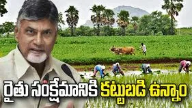 నేడు సిద్ధాంతంలో సీఎం చంద్రబాబు పర్యటన.. రైతులతో ముఖాముఖి 