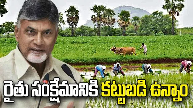 నేడు సిద్ధాంతంలో సీఎం చంద్రబాబు పర్యటన.. రైతులతో ముఖాముఖి 