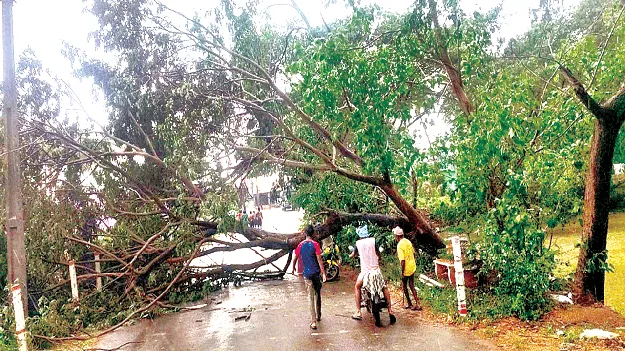 Oh My.. What Fierce Winds! వామ్మో.. ఇవేం గాలులు 