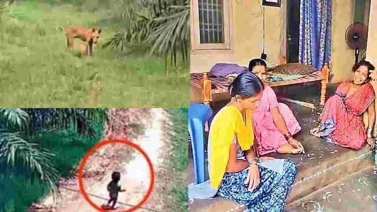 కనిపించని జ్ఞానేశ్వరి జాడ.. భర్త స్నేహితులపై తల్లి అనుమానం