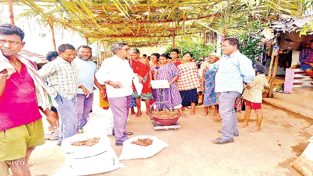   Tribal Farmers గిరిజన రైతులకు తీరిన ‘చింత’