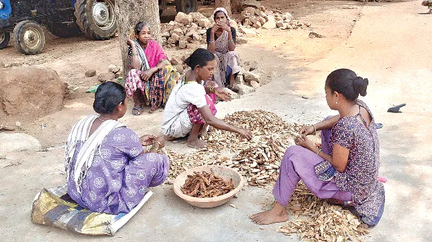   'worry' has been resolved! దిగుబడి తగ్గినా..  ‘చింత’ తీరింది!  