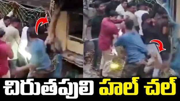 మహారాష్ట్రలోని అమరావతిలో ఇంట్లోకి చొరబడ్డ చిరుత.. వీడియో వైరల్