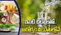 వేసవిలో ఆరోగ్య సమస్యలకు చెక్ పెట్టే.. ఇంటి చిట్కాలు