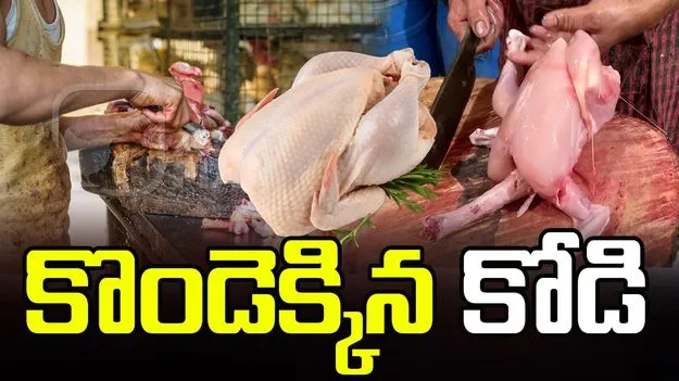 కొండెక్కిన కోడి.. కిలో ఎంతంటే..