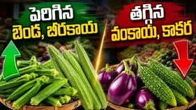 పెరిగిన బెండ, బీరకాయ.. తగ్గిన వంకాయ, కాకర