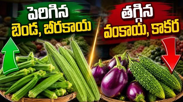 పెరిగిన బెండ, బీరకాయ.. తగ్గిన వంకాయ, కాకర