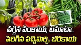తగ్గిన వంకాయ, టమాటా.. పెరిగిన పచ్చి మిర్చి, బీరకాయ