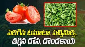 పెరిగిన టమాటా, పచ్చిమిర్చి.. తగ్గిన దోస, దొండకాయ